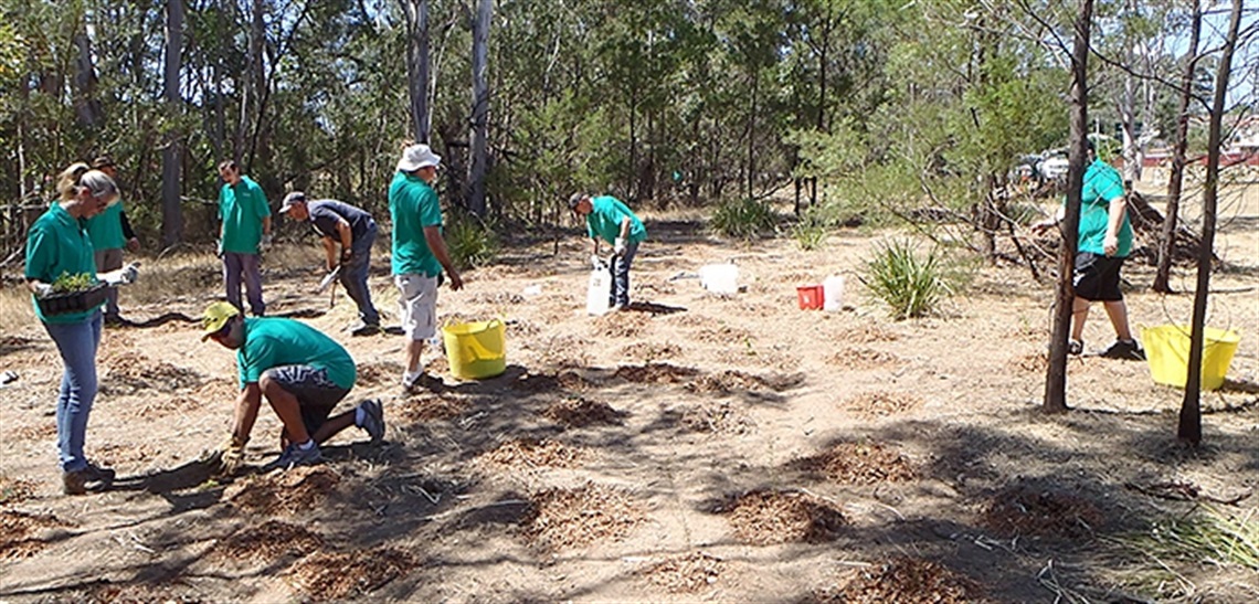 VolunteersPlanting