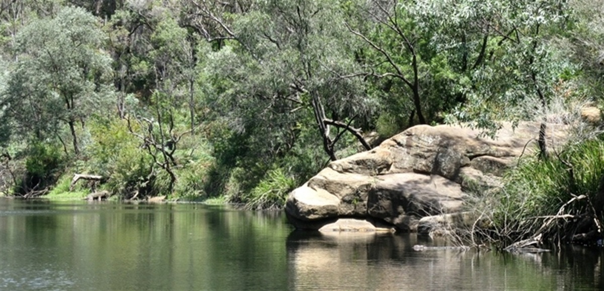 Environmental works in Simmos Beach catchment - Campbelltown City Council