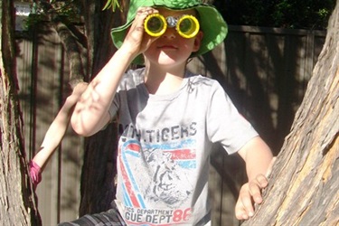 Child with binoculars in tree