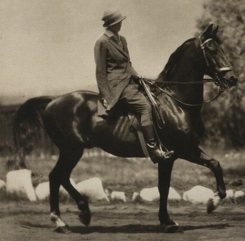 A lady riding a horse in Competition