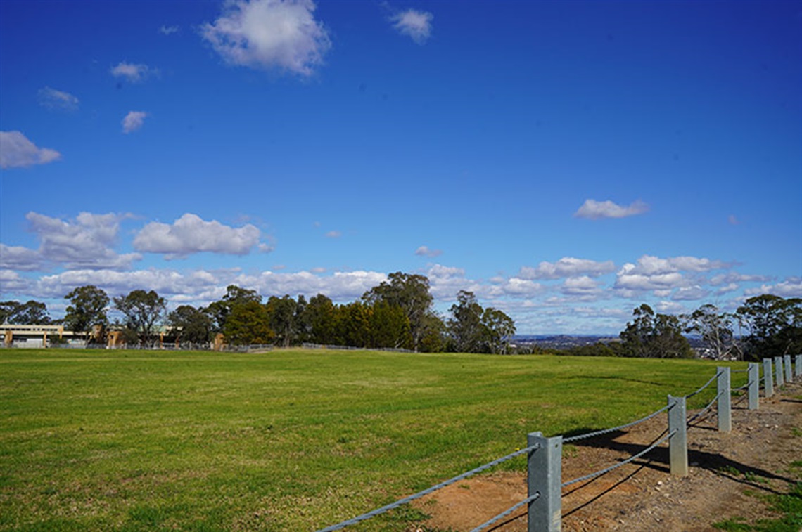 Biehler Reserve -fence in foreground and trees in background