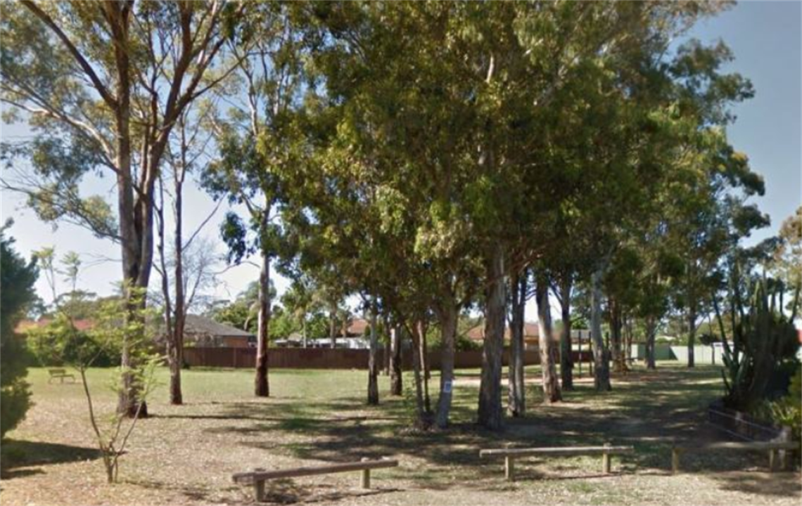 Fenced off open park area with tall trees and low wooden fencing