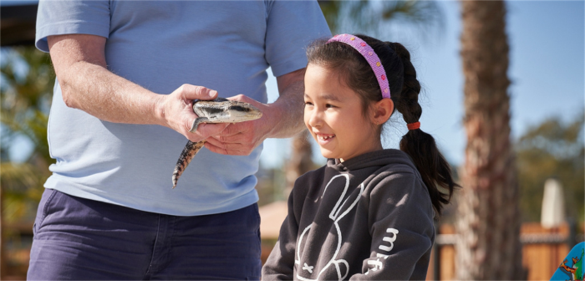 Girl facing a blue tongue lizard