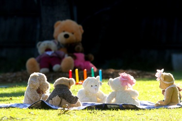 Join us at the Teddy Bear Picnic