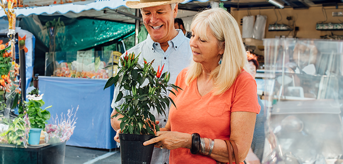 Handmade and Homegrown Weekly Market Campbelltown City Council